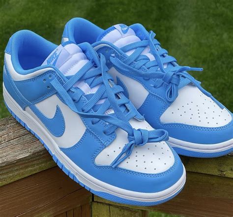 Nike dunk low sneakers